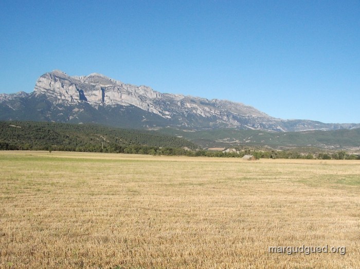 camino-2-1-margudguedorg