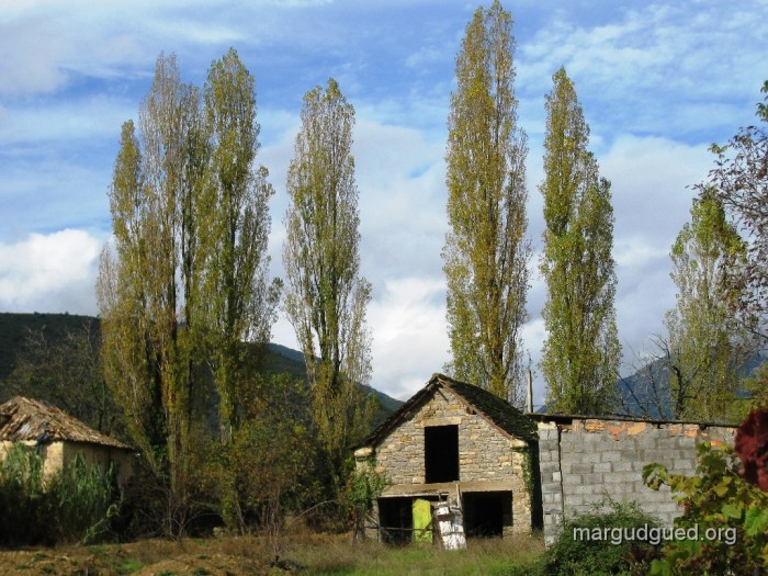2008-10-1-1-margudguedorg