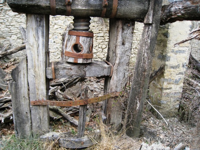 2008-3-30-55-margudguedorg2